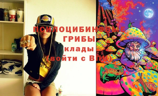 Альфа ПВП Майский