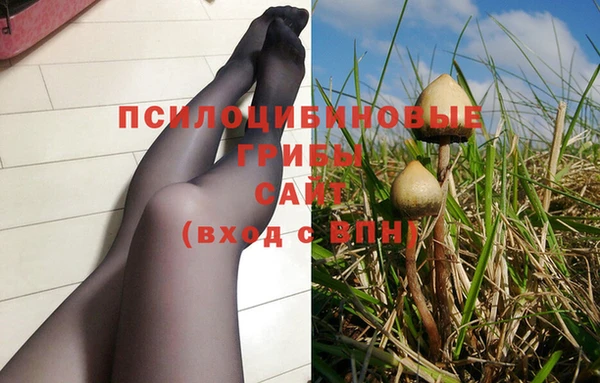 тгк Магадан