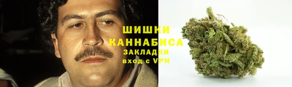 Альфа ПВП Майский