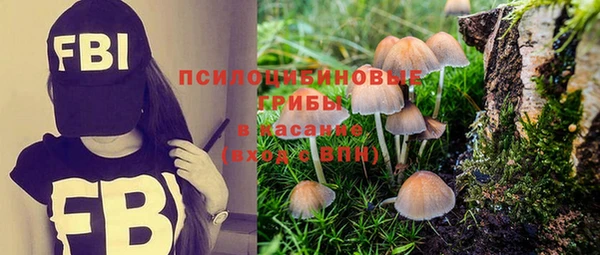 тгк Магадан