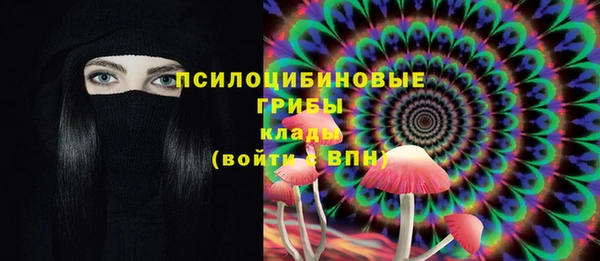 Альфа ПВП Майский